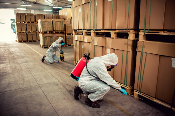 Best Best Pest Control Companies  in Sulphur, OK