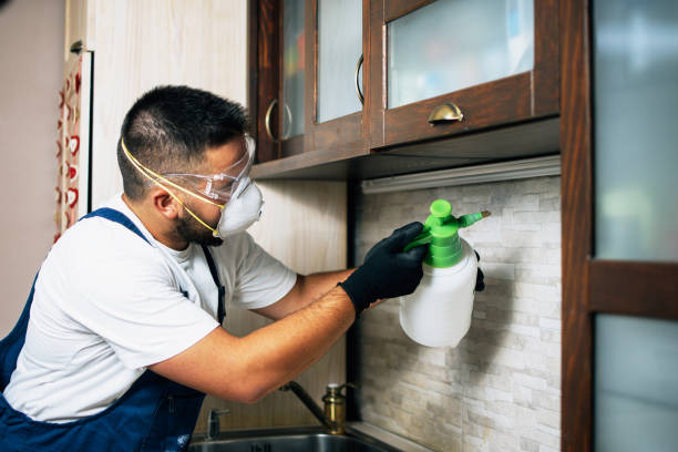 Pest Prevention Services in Sulphur, OK