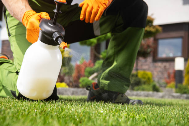 Best Local Pest Control Services  in Sulphur, OK