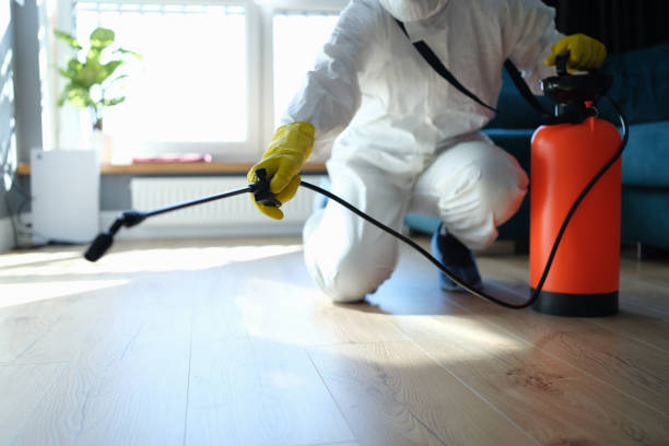 Professional Pest Control in Sulphur, OK