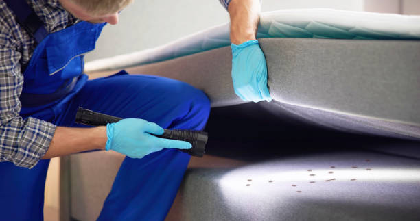 Best Local Pest Control Services  in Sulphur, OK