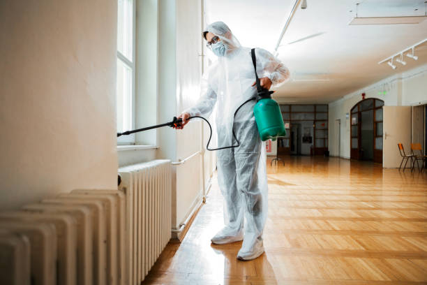 Best Wasp Removal Services  in Sulphur, OK
