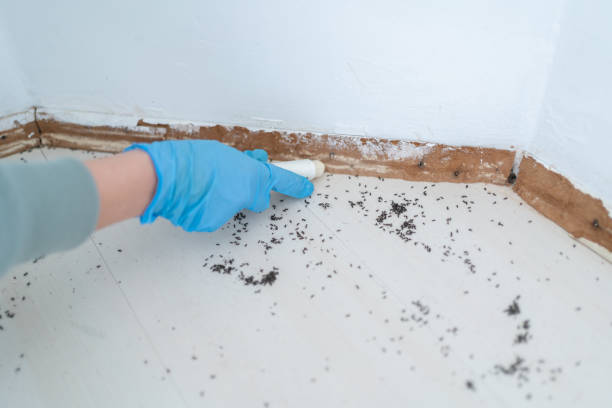  Sulphur, OK Pest Control Pros